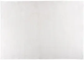 Image without description