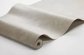 Image without description