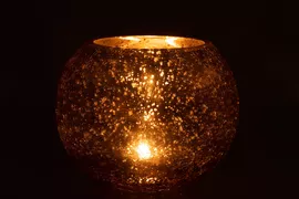 Image without description