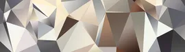 Image without description
