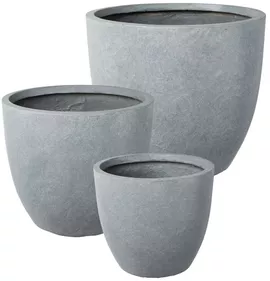 Image without description