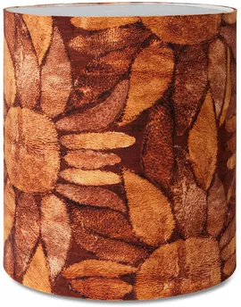 Image without description