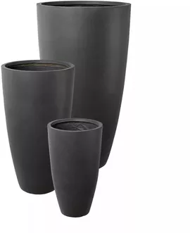 Image without description