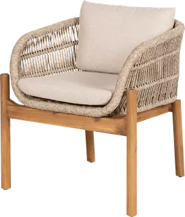 Image without description