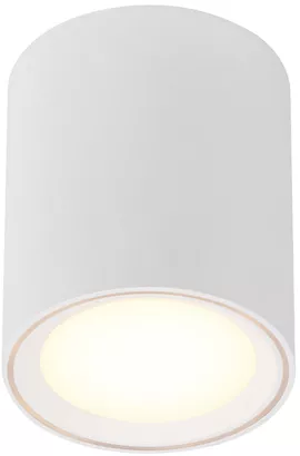 Image without description