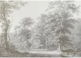 Image without description