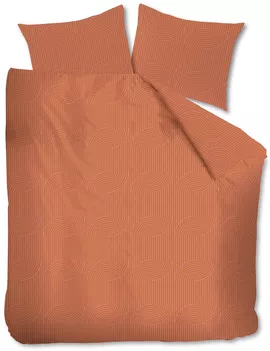 Image without description