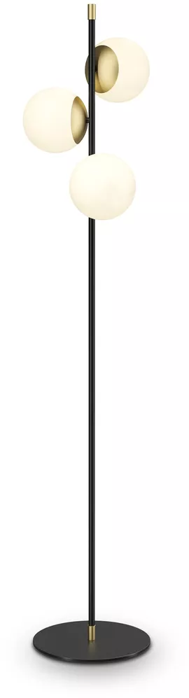 Image without description