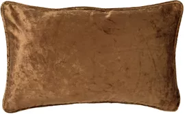 Image without description