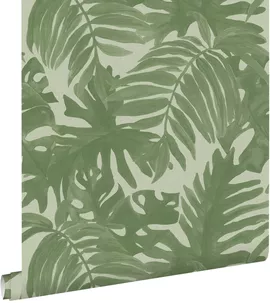 Image without description