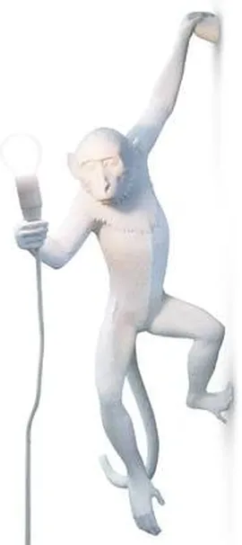Image without description