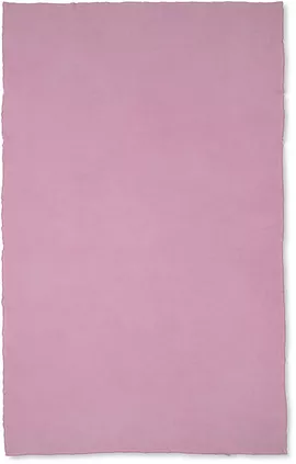 Image without description