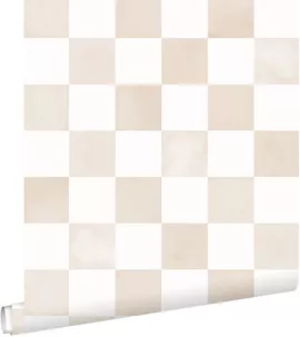 Image without description