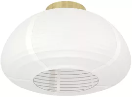 Image without description