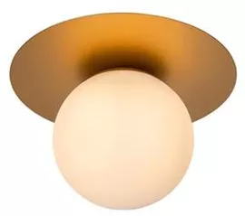 Image without description