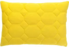 Image without description