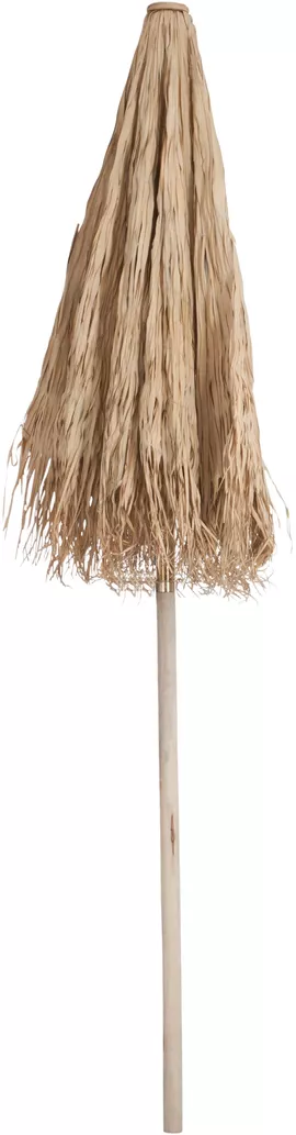 Image without description