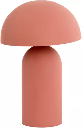 Image without description