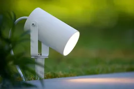 Image without description