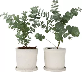 Image without description