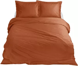 Image without description