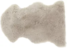 Image without description